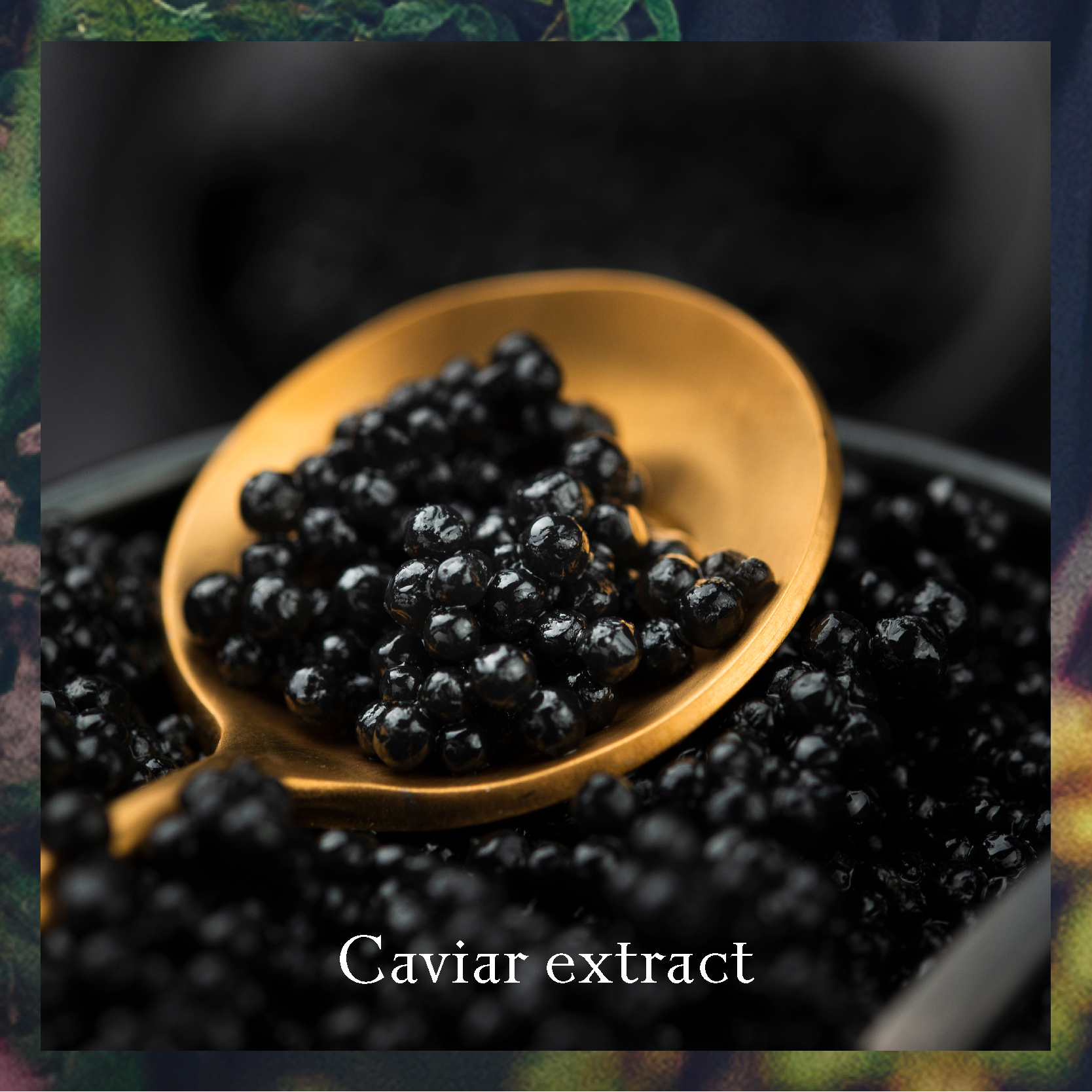 Caviar Extract – Rich in nutrients, it helps improve skin radiance and promotes a naturally youthful appearance.